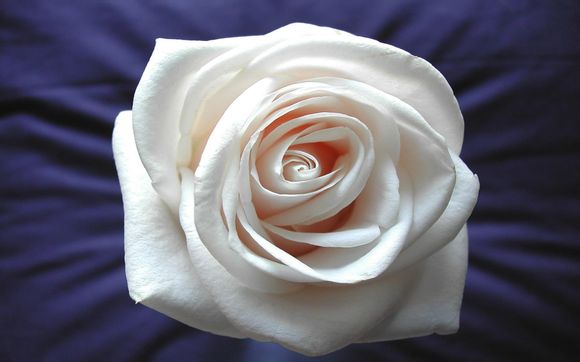 丽江古城进去需要门票吗