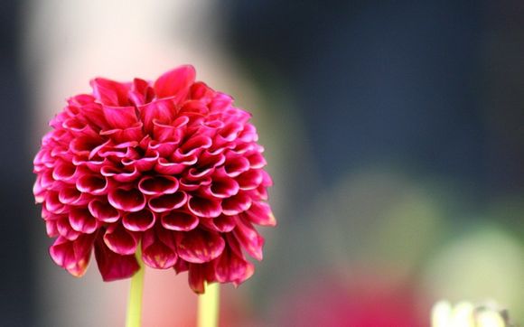 上海豫园从哪个门开始玩最好