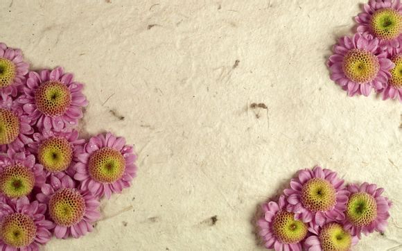 日照花仙子景区现在营业了吗