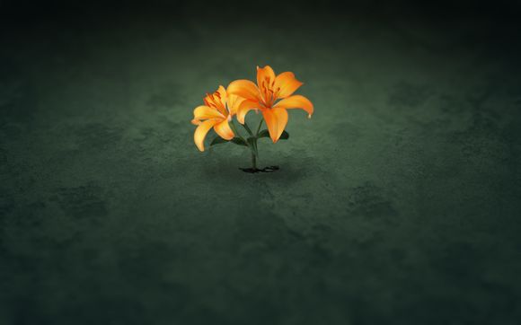 同安香山公园现在开放了吗