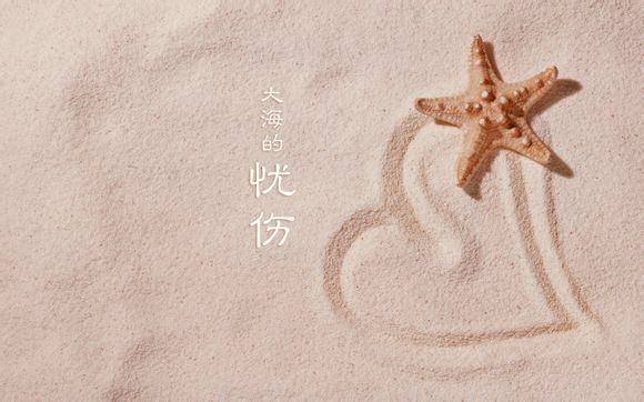 南京到上海坐飞机几个小时