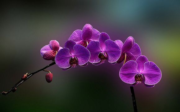 连云港冬天怎么过